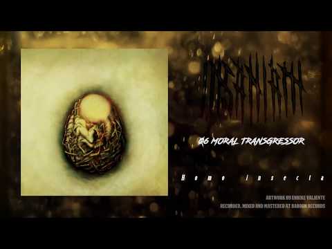 INSANIAM - Moral Transgressor (official audio)