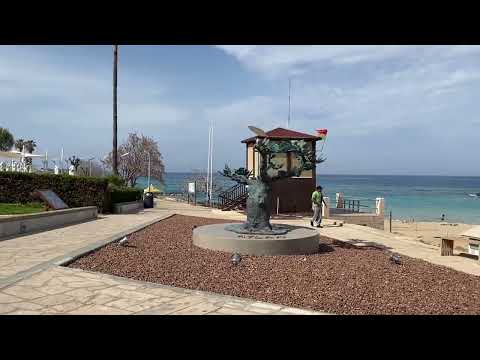 Fig Tree Bay, March 2025