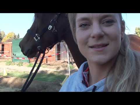 FMA - Ein Tag im Stall mit allen meinen Pferden + neues Pferd - Stallalltag - VLOG Oktober 2018