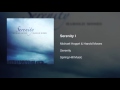 Michael Hoppé & Harold Moses - Serenity I