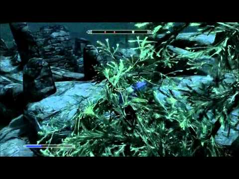 Skyrim Xbox Race to the Oghma Infinium 21