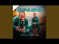 Ihhashi Elimhlophe