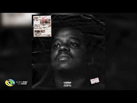 Sfarzo Rtee and Mdu a.k.a - Impilo [Feat. Mashudu] (Official Audio)