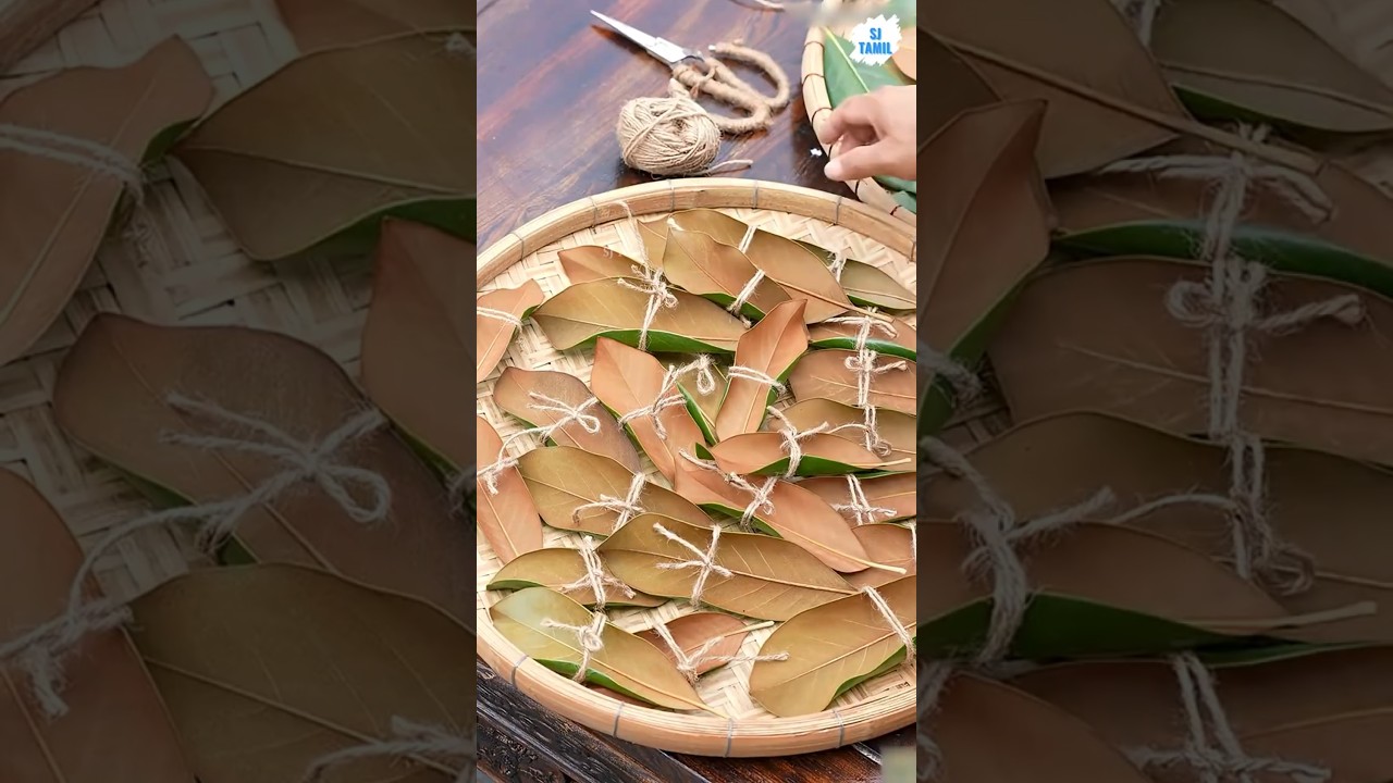 Cha ze | SJ Tamil  #sjtamil #facts #tamil #shorts