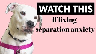 Secret Tip to FIX DOG SEPARATION ANXIETY - What No One Tells You To Do