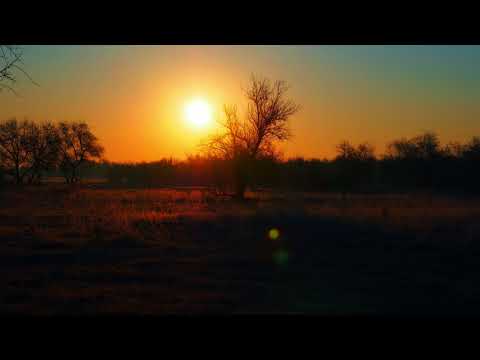 Leonety feat. Natune - Just Dream