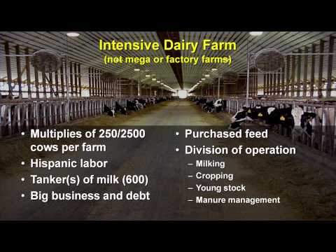 U.S. Dairy Industry
