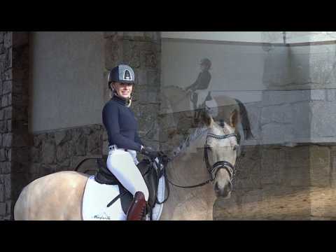 STEENDIEKS CONCERTO 7j. Falbwallach v. FS Chambertin - Dumas