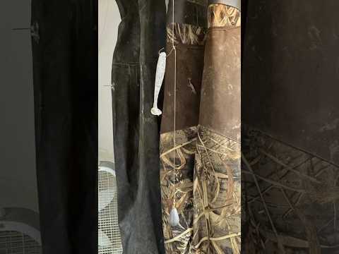 How to Tie a Drop Shot: 2 Easy Methods! #bassfishing #fishing #howto #Jesus