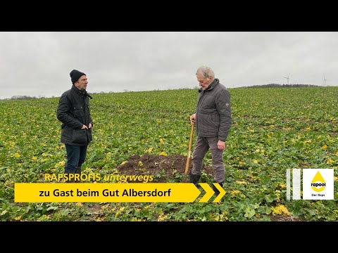 RAPSPROFIS unterwegs - zu Gast beim Gut Albersdorf in Schashagen/Grömitz