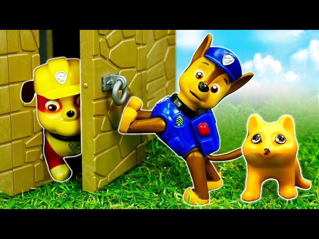 Vídeo relacionado con Paw Patrol | Patrulla Canina. Un cuento - ¡Hay un gatito a bordo! (Nickelodeon)