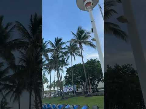 Miami Beach 🏝️ ￼#shorts #vication