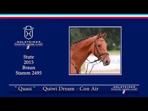 Holsteiner Sommerauktion 2019 | Nr. 15 - Quasi v. Quiwi Dream - Con Air