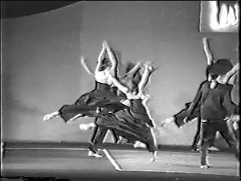 Festival Hava Netze BeMachol 1994