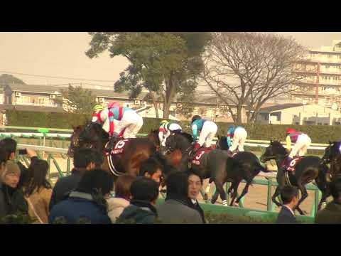 ホープフルステークス  1着シャイニングレイ号 (川田将雅騎手)  (個人撮影)  2014年12月28日(日) 中山競馬場