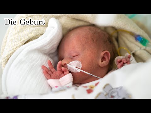 Die Geschichte von Rio - Teil 1