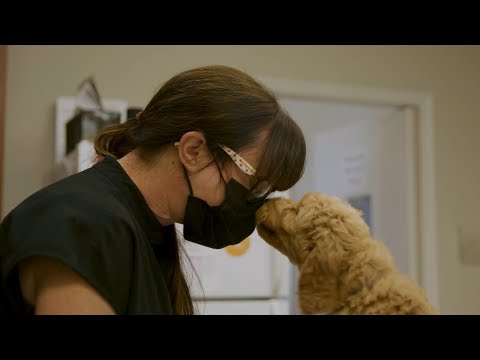 The Cost of Caring Teaser Trailer