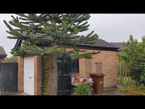 Crown Point Drive, Ossett - Virtual Tour