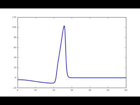 Hodgkin-Huxley Model