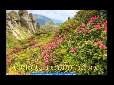 Cazare Gornet Cricov, Prahova - Cazat.ro