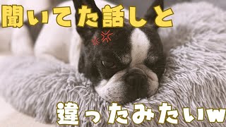 予防接種に行ったらガッカリした😞