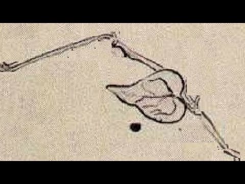 最後一片葉子--O.亨利的經典短篇小說，由經典故事網提供。 (THE LAST LEAF - the classic short story by O. Henry, presented by classic-tales.net)