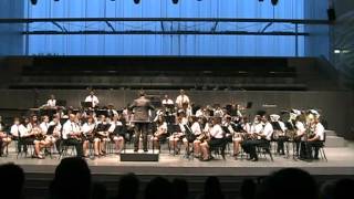 preview picture of video 'Banda Municipal de Alfândega   Concerto na Casa da Musica   Hispânico'