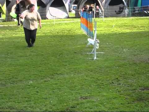 29.06.2013 Bad Soden MAC Qualis J3 - Small Kira