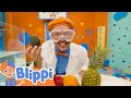 Blippi Visits An Orange Farm Sink Or Float With Fruit Blippi Funny Cartoons Songs For Kids