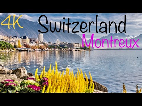 Die Schweiz🇨🇭, der wunderschöne See von Montreux,walking