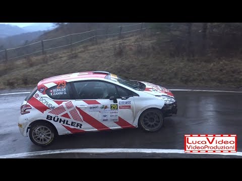 40° Rally Appennino Reggiano 2019 Buhler-Zanni 208 R2B - Passaggi esterni