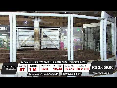 ✅📌 Leilão Virtual e Presencial Rural Leilões - Patrocínio Paulista/SP