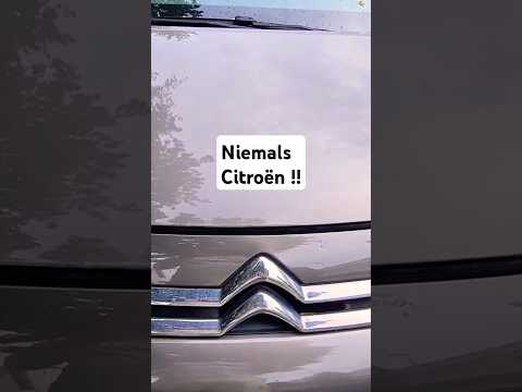 #Timingbelt in oil - Stay away from #Citroen. #PSA #Peugeot #Ford #Engine