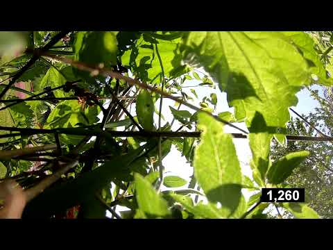 14 SDH SEZEMICE - PKL DOUBRAVA 2023