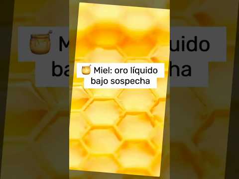 🍯 ¿Toda la miel es realmente natural?