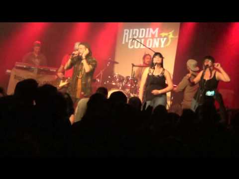 RIDDIM COLONY  10 ÉV 011 1