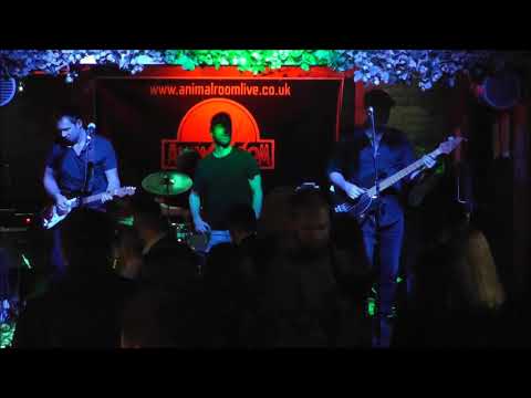 Animal Room - Smells Like Song 2 Nation Army - Stein Strasse Derby