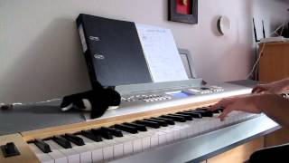 Belle &amp; Sebastian - I want the World to Stop | [Piano cover by amtsu]