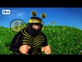 Little Bumble Bee TBS
