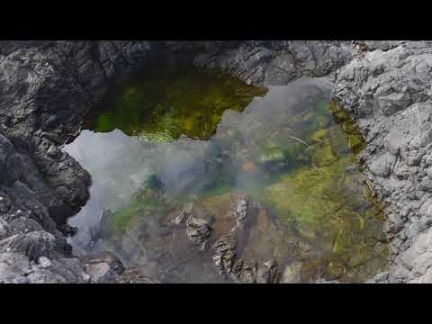 breaker bay projection