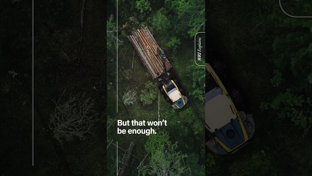 WRI Explains Carbon Removal