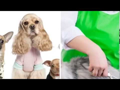 Christina's Pet Styles - Staten Island, NY 10306 - (718)980-7387 | ShowMeLocal.com