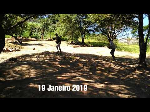 Bem vindo....19 Janeiro 2019 Monte Granja de Freitas B.H M.G