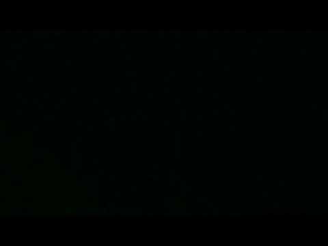 Nocne spotkanie z puszczykiem