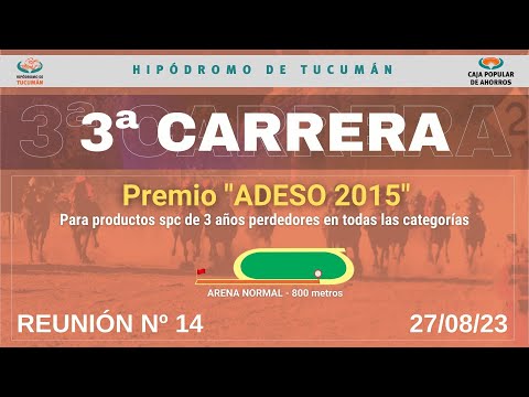 3ra. Carrera - Premio "ADESO 2015" - 800 metros
