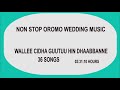 NON STOP OROMO WEDDING Walleewwan Aruuzaa Ykn Cidhaa