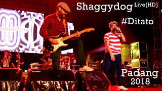 Download lagu Shaggydog [HD] di Padang - Ditato live at SOUNDSATIONS2018. mp3
