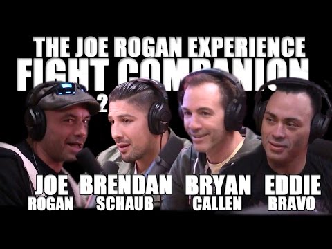 Joe Rogan Experience - Fight Companion - December 3, 2016