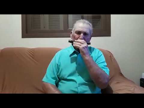 Terra feliz / Cantor cristão nº 508