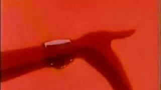 Sailor Galaxia Raise Your God (Suicide Commando)